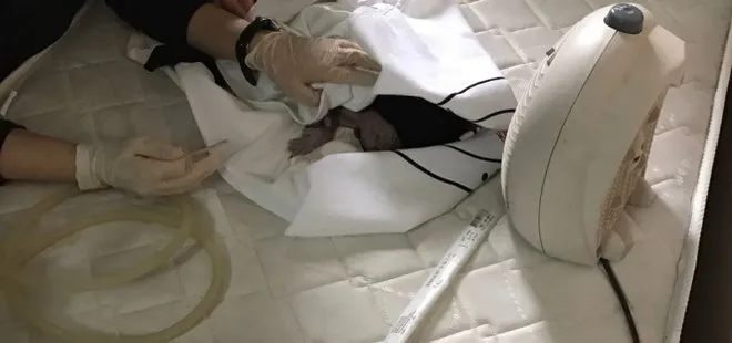 Hastaneye yetişemeyen hamile kadın, sağlık ocağının bahçesinde doğum yaptı
