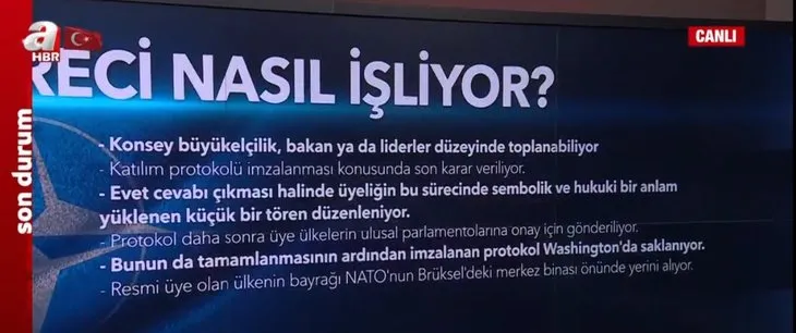 NATO’ya üyelik süreci nasıl işliyor? Türkiye veto ederse ne olur?