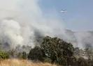 Antalya Kaşta ormanlık alanda yangın!