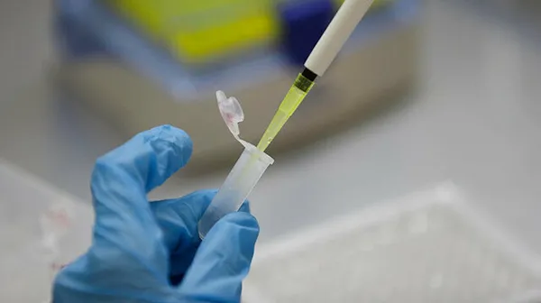 Son dakika: Sağlık Bakanı Koca duyurdu! Yılbaşı gecesi sokağa çıkma yasağı olacak mı? Aşı zorunlu mu? Yeni tedbirler alındı mı?