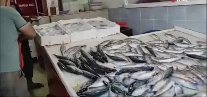 Av yasağı bitti tezgahlar palamutla doldu