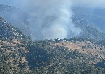 Muğla Köyceğiz'de orman yangını kontrol altında!