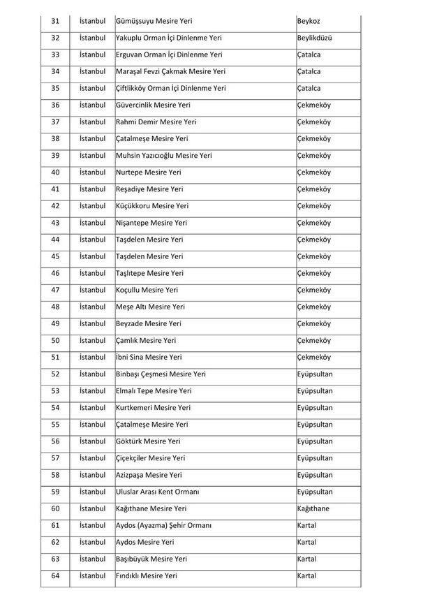 İstanbul’da ormanlara giriş yasak mı? Giriş yasağı olan ormanlar hangileri? İşte mangal yasağı olan ilçeler...