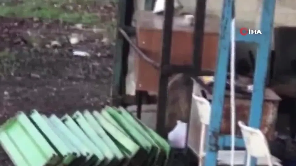 Ayı inşaat bekçisini çıldırttı | Video