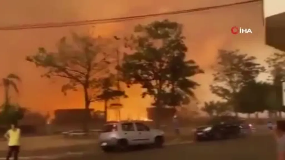 Brezilya’da orman yangınları: 2 ölü