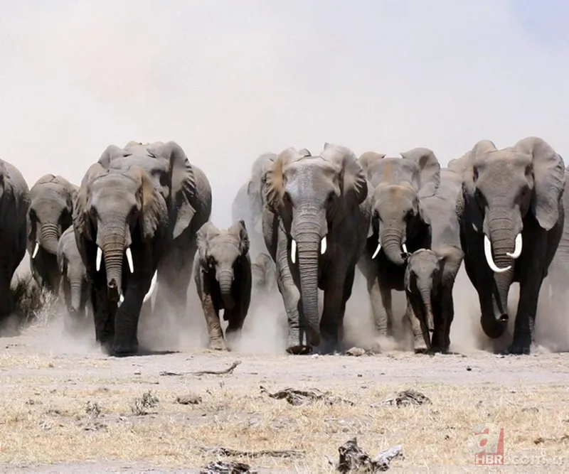 Bilim insanları geliştirdi! Artık uzaydan sayılabilecekler