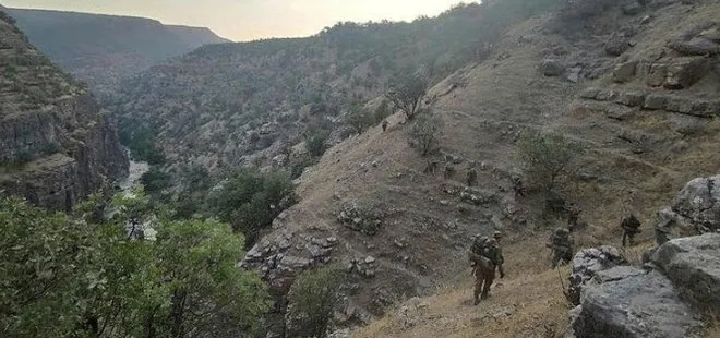 Son dakika: Eren Abluka-27 operasyonunda Cudi Dağı bölgesinde 1 terörist yakalandı