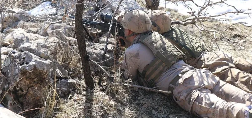 Son dakika: İçişleri Bakanlığınca Şırnak-Siirt ilerinde Eren-10 Gabar operasyonu başlatıldı