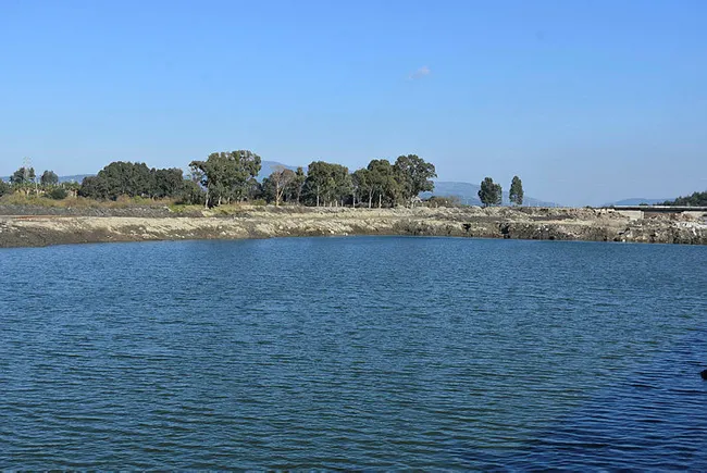Bakan Pakdemirli duyurdu: Efes Antik Kenti, gelecek yıl denizle buluşacak