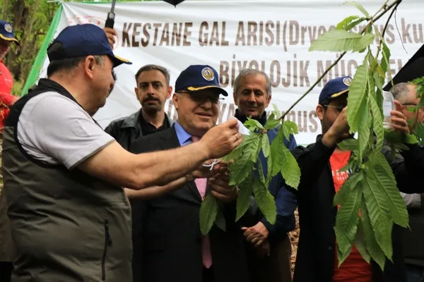 zonguldakta-gal-arisi-tehlikesine-karsi-bin-20-terminator-bocek-dogaya-birakildi-1652941880256.jpg Zonguldak’ta gal arısı tehlikesine karşı bin 20 terminatör böcek doğaya bırakıldı - 1