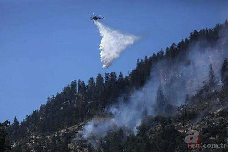 ABD'de dev orman yangını! 85 kilometrekarelik alan alevlere teslim 11