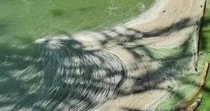 Müsilaj benzeri kirlilik! Simsiyah su fışkırıyor