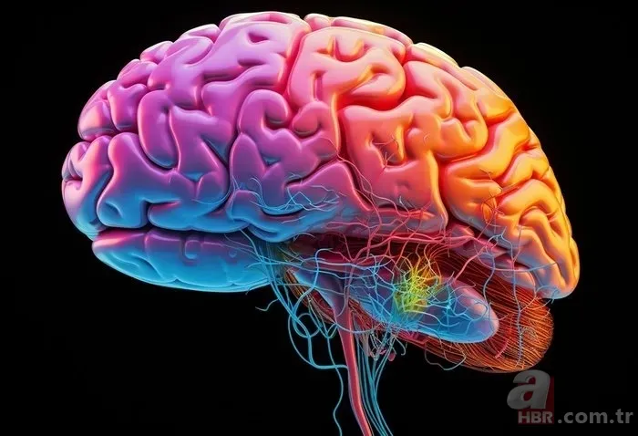 İbn-i Sina'dan asırlık öneri! Her evde bulunuyor! Hafızayı çelik gibi yapan baharat... 8