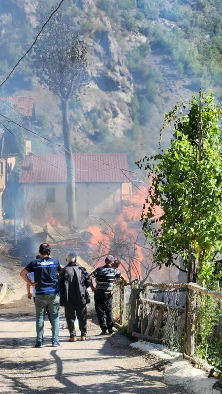 Artvin'de korkutan köy yangını! Maddi hasar büyük - 1