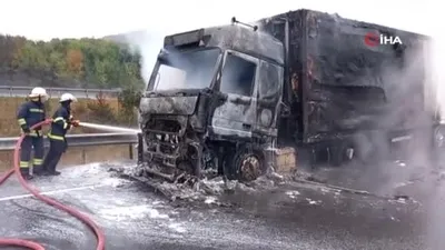 Tavuk yüklü tır alev alev yandı