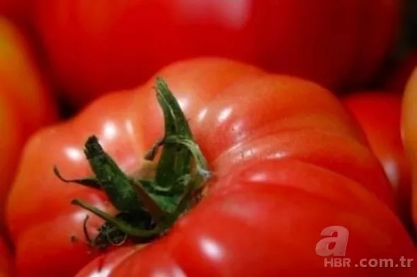 Pratik çözümlerde çığır açtılar 10