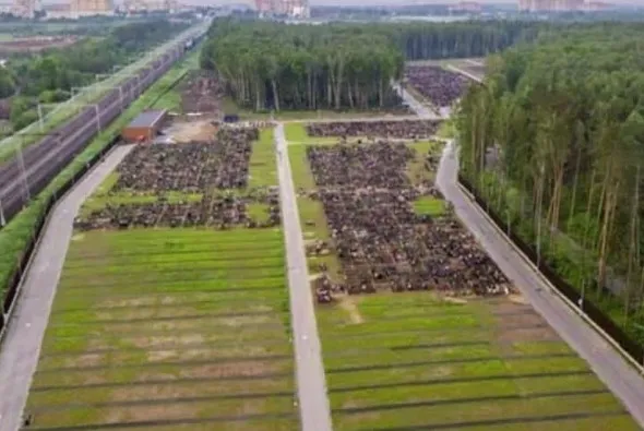 Koronavirüs kabusu yeniden hortladı! Avrupa da kurtulamıyor - 19