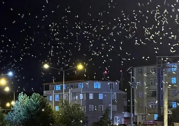 O ilimizde 10 gündür görülüyordu: "Ölüm dansı" sona erdi!