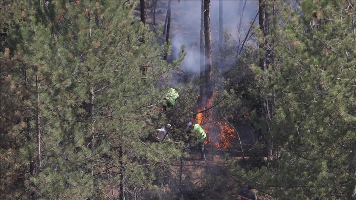Orman yangınlarında yoğun dumana maruz kalanlar hastaneye başvurmalı