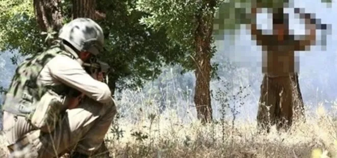 Son dakika: Teslim olan PKK’lı teröristlerin sayısı 182’ye yükseldi