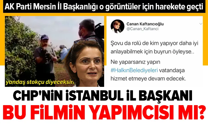 CHPnin İstanbul İl Başkanı bu filmin yapımcısı mı?
