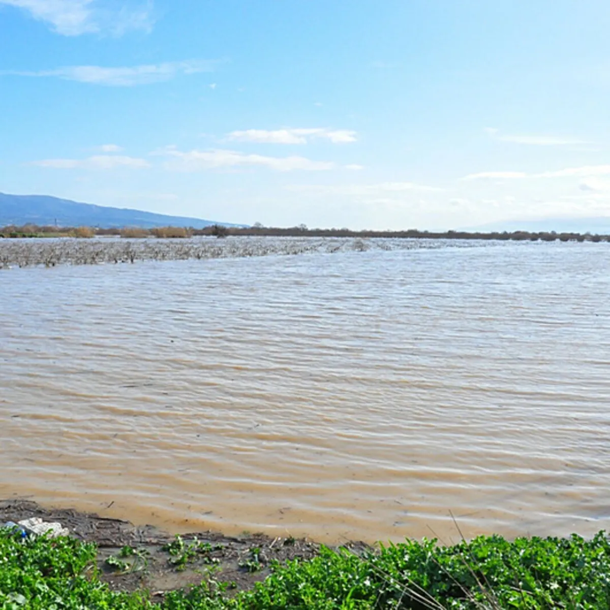 Ege'de sağanak dehşeti: 88 yıllık rekor 6 günde kırıldı! İzmir ve Muğla teslim oldu