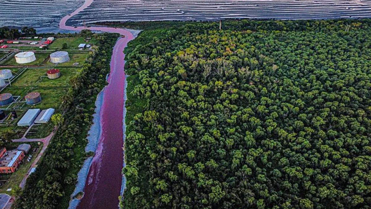Arjantin'de Sarandi Nehri kırmızıya döndü! Bölgede büyük panik