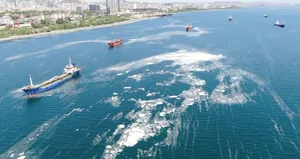 Deniz salyası İstanbul’a yapışıp kaldı!