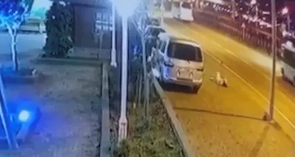 rizede-hemsire-enise-gursoyun-olumune-sebep-olan-surucu-tutuklandi-1675089891860.jpg Rize'de hemşire Enise Gürsoy'un ölümüne sebep olan sürücü tutuklandı! Kaza anı kamerada - 4