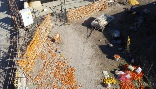 Türkiye'de pek bilen yok ama Avrupa kapış kapış alıyor! Ne olduğunu gören şaşkına dönüyor: Kozmetik ve ilaç sanayisinin gözdesi 5