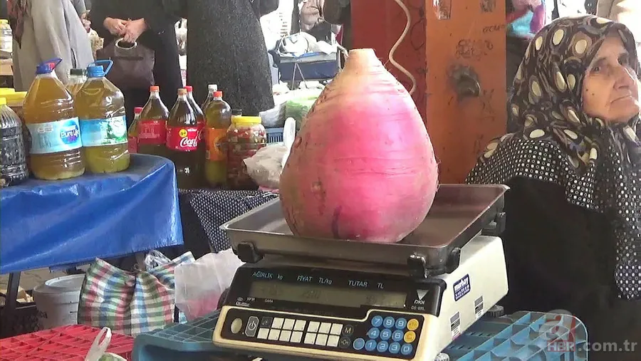 Yetiştirdiği çilek hayrete düşürdü! 45 günden fazla sürdü... Guinness Rekorlar Kitabı'na girdi 15