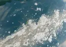 Korkutan görüntü! Geri döndü