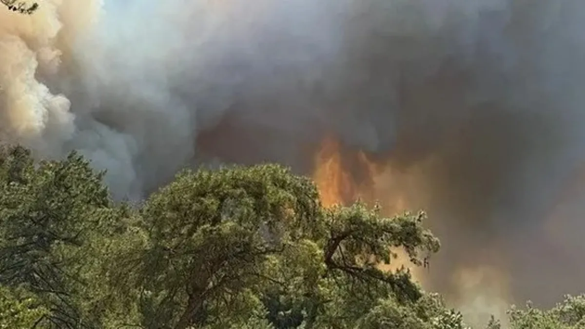 İzmir'deki orman yangınında 'Yangını başlatan kişi' görüntülerine açıklama: İddialar yalanlandı