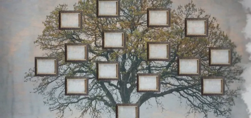 e-Devlet Soyağacı Oluşturma nasıl yapılır? Alt-üst soy bilgileri ile soyağacı tasarlama nereden yapılır?