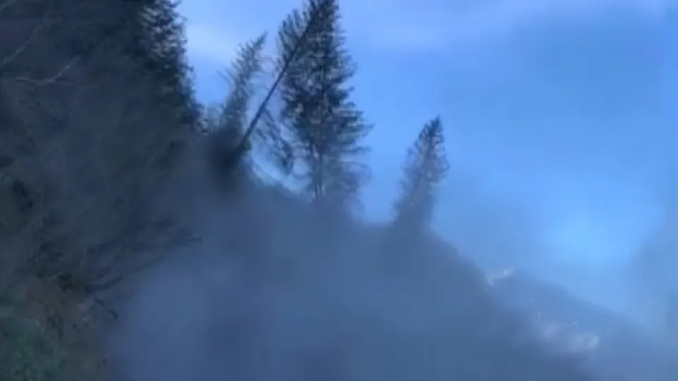 Heyelan anı kamerada! Ağaçlar körfeze sürüklendi