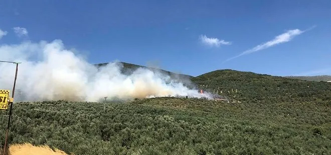 Bursa’da hastane yakınındaki orman yangını kontrol altına alındı