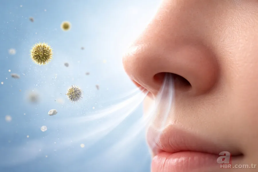 Neden sürekli bir burun deliğimiz daha tıkalı? Şaşırtan biyolojik gerçek 4