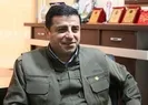 HDP’den Demirtaş’ın üzerini çizdi!