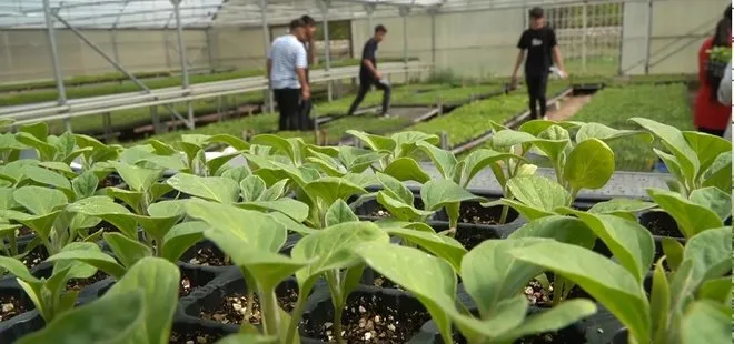 Erzincan’da tarım bölümü öğrencileri hem öğreniyor hem üretiyor