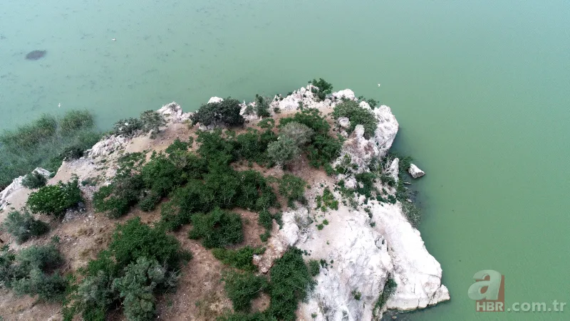 Cristiano Ronaldo’nun koronavirüs önlemi özendirdi! Bursa’daki adaya teklif yağdı 5