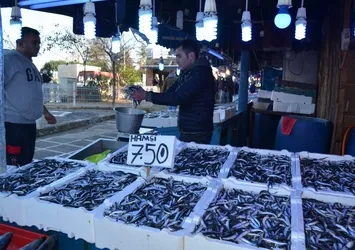 Hamsinin fiyatında büyük düşüş