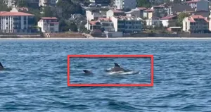 Tekneyle açıldı! Böyle görüntüledi