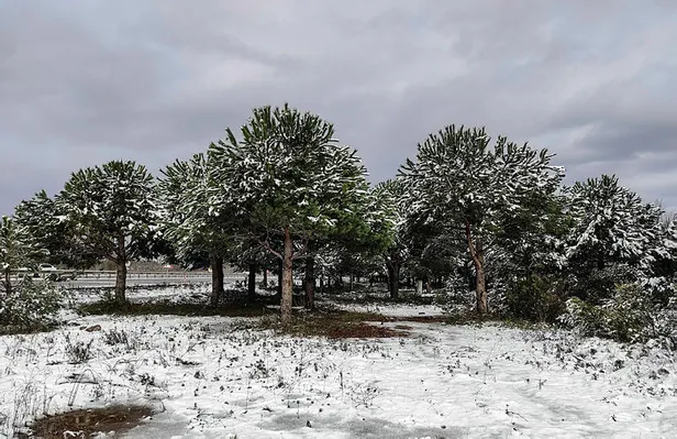 Meteoroloji son dakika: İstanbul kar yağışı kaç gün sürecek? İstanbul kar yağışı ne zaman bitecek? - 1