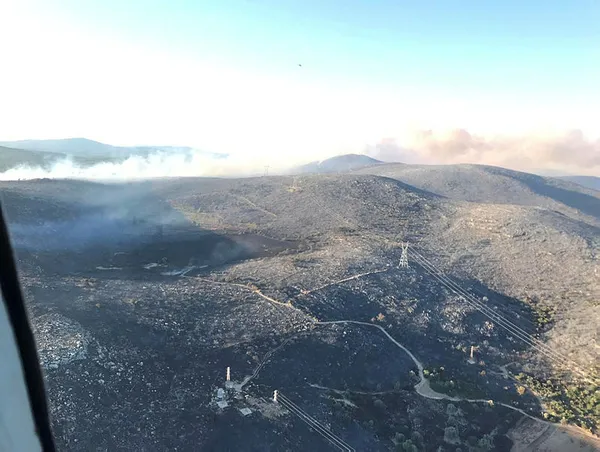 Son dakika: Bakan Bekir Pakdemirli’den Çeşme’deki orman yangını hakkında flaş açıklama