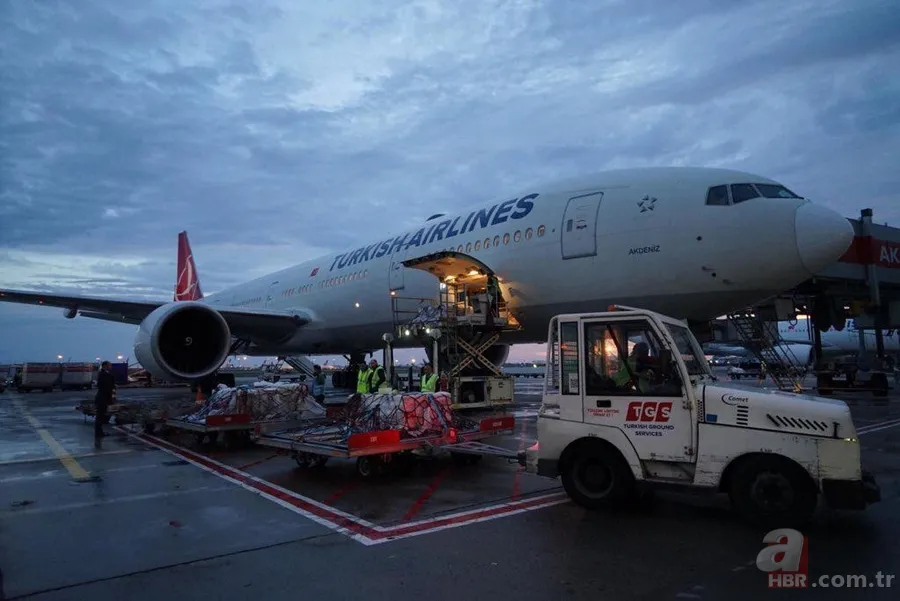 'Çingene Kızı' mozaiği Türkiye'ye getirildi 1