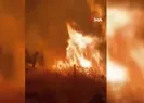 Yamadı Gölü alevlere teslim oldu