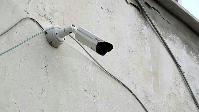 Giresun’da mahalleye inen kurtlar için vatandaş sopalı ve baltalı nöbet tutuyor - 9