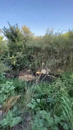 CHP’li Tunç Soyer yönetimindeki İzmir Büyükşehir Belediyesi'nden bir skandal daha! Turgut Köyü’nde şok görüntü... - 3