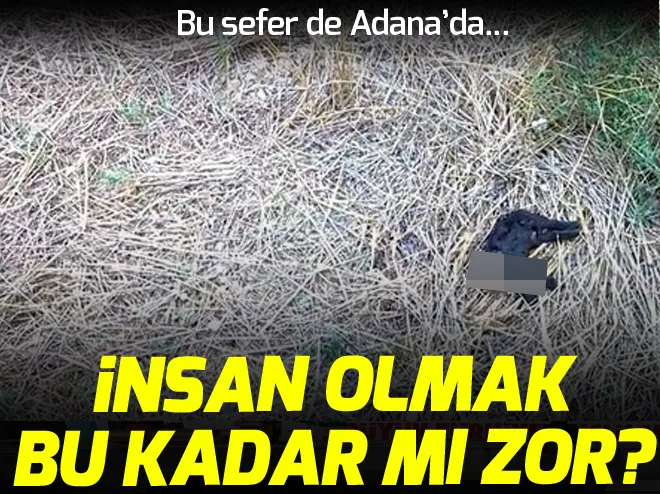 Bunu yapan insan olamaz!