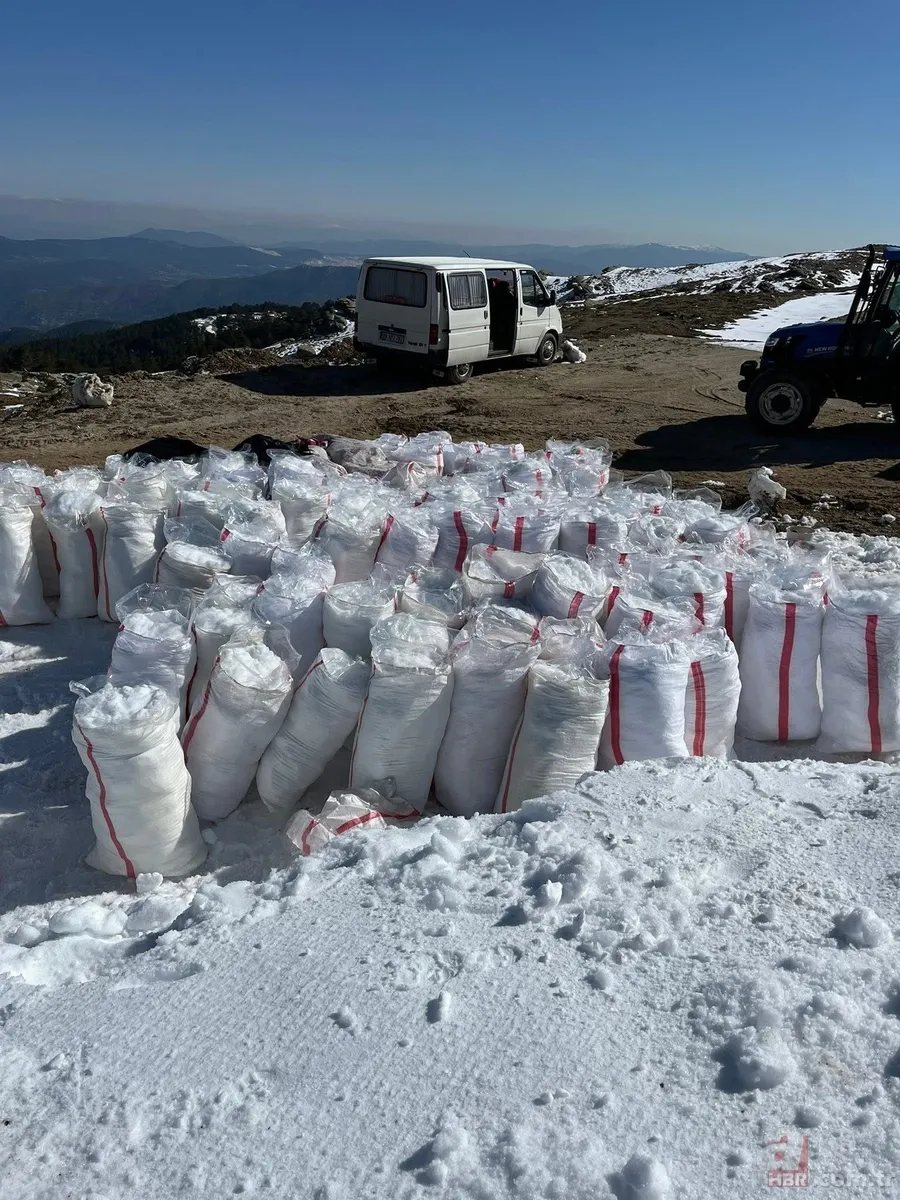 Buz gibi bir helva geleneği: Zirveye gömüp yazı bekleyin 6